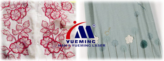 camera laser cutting sample
