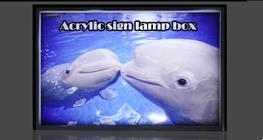 acrylic sign lamp box