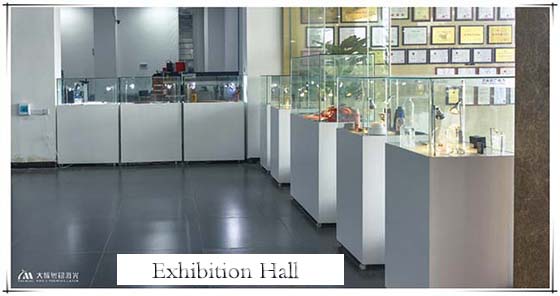 Han's Yueming laser exhibition hall